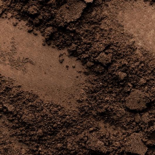 Monthly Retainer Subscription 